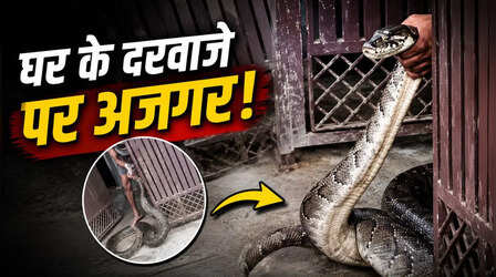 घर के दरवाजे तक पहुंचा विशालकाय अजगर, Video देख थम गई लोगों की सांसे