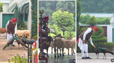 स्वतंत्रता दिवस पर लाल किला जाने से पहले PM मोदी से मिलने पहुंचे ये खास ‘फ्रेंड्स’, VIDEO देखकर आप भी हो जाएंगे मंत्रमुग्ध!