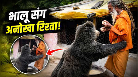 Viral Video: जिन भालुओं से खौफ खाते हैं लोग, उन्हें प्यार से खाना खिलाता दिखा साधु
