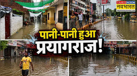 बारिश से दरिया बना प्रयागराज! चार फीट तक पानी में डूबे मोहल्ले; छतों पर रहने को मजबूर लोग