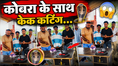 Viral Video: हैप्पी बर्थडे नागराज...कोबरा के सामने दोस्तों ने काटा केक और गाया गाना, नजारा देख चकराया लोगों का दिमाग