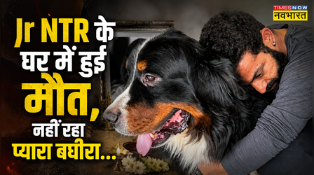 SHOCKING: नहीं रहा Jr NTR के जिगर का टुकड़ा, रुक गईं बघीरा की सांसें