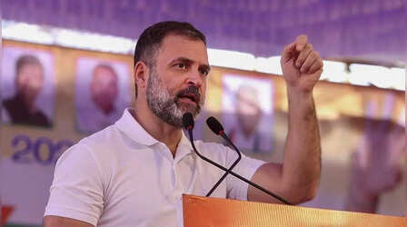 RSS से राहुल को क्या है दिक्कत, खुद बताया, बोले-संघ नहीं जान सकता 1.5 अरब लोगों की सच्चाई