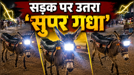 सिर पर हेडलाइट, पीठ पर बाइक की सीट! सड़क पर उतरा 'सुपर गधा', देखें Viral Video