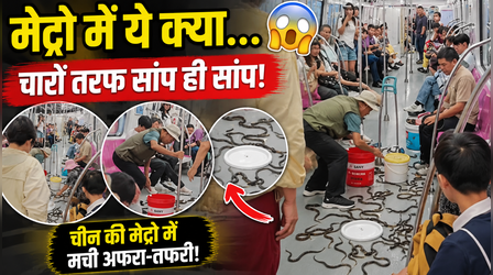 चीनी मेट्रो में अचानक फर्श पर रेंगने लगे दर्जनों 'सांप'! सच्चाई सामने आने पर उड़ गए सबके होश, देखें VIDEO