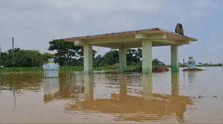 Odisha News: भद्रक जिले में भारी बारिश के बाद 3 लाख लोग बाढ़ से प्रभावित! Helpline नंबर जारी