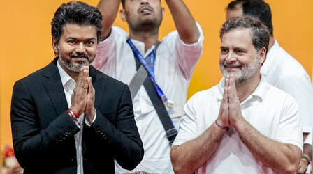 तमिलनाडु में विजय बनाम राहुल गांधी! 2029 पीएम पद की रेस पर TVK और कांग्रेस आमने-सामने, मंत्री ने दी सरकार से इस्तीफे की चेतावनी