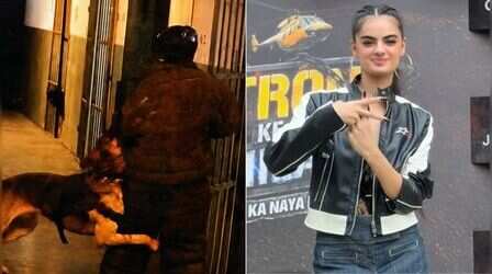 Khatron Ke Khiladi 15: स्टंट में रुहानिका धवन को नोचने लगे कुत्ते, दर्द बयां कर बोलीं- जरा भी रहम नहीं किया