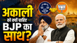 अकाली दल क्यों चाहता है NDA का साथ BJP की बार-बार ना के बीच बादल परिवार क्यों कर रहा गठबंधन की कोशिश