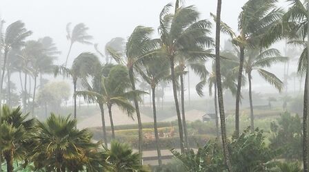 Weather Update: चक्रवात 'अर्नब' का तांडव, ओडिशा में तबाही के बाद UP, दिल्ली और बिहार में भारी बारिश का अलर्ट