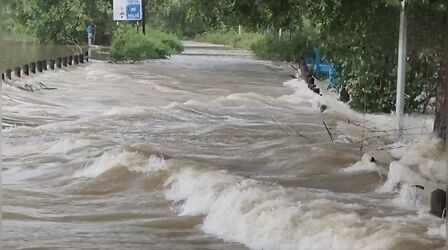 Odisha News: ओडिशा में मूसलाधार बारिश का तांडव, डीप डिप्रेशन से बिगड़े हालात, कई जिलों में सड़कें और फसलें डूबीं
