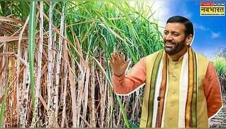 हरियाणा के किसानों के लिए बड़ी खुशखबरी, CM नायब सिंह सैनी का बड़ा ऐलान, 35 रुपये बढ़ाकर गन्ने का भाव किया 450 रुपये प्रति क्विंटल