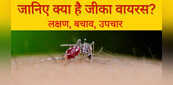Zika Virus: जानिए क्या है जीका वायरस, जिसने मचा दिया है देशभर में हड़कंप, ऐसे कर सकते हैं बचाव