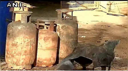 जोधपुर LPG ब्लास्ट:परिवार के 28 वें व्यक्ति ने भी तोड़ा दम,2 साल में 449 की मौत,रखें इनका ध्यान
