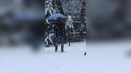 नए साल में लेना है Snowfall का मजा, तो बेस्ट हैं ये खास जगहें