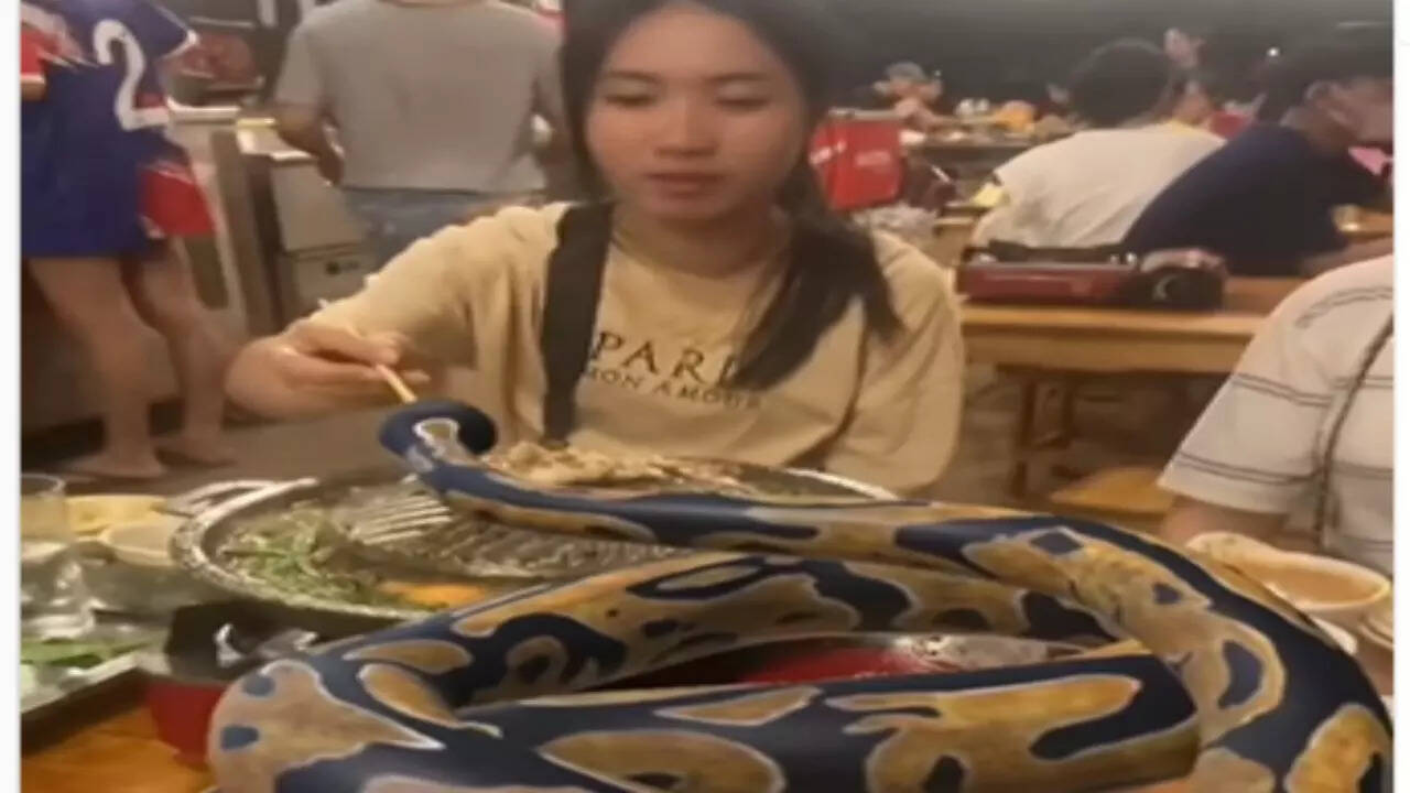 Snake Viral Video