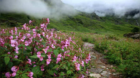 Places to visit near joshimath: बद्रीनाथ धाम से लेकर फूलों की घाटी तक, जोशीमठ के आसपास घूमने की ये हैं बढ़िया और सुंदर जगह