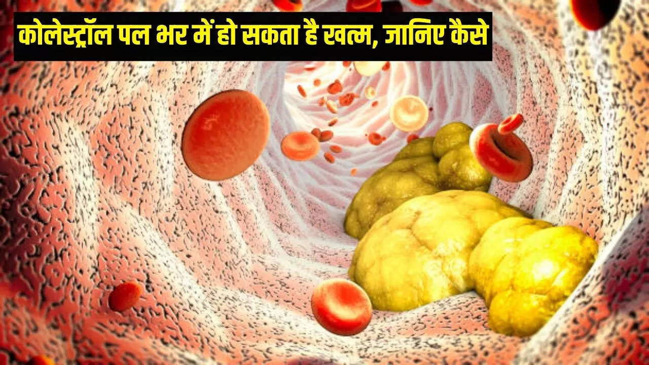 Cunnilingus va blowjobs ishtirokidagi porno sahnalari bilan yangi filmlar