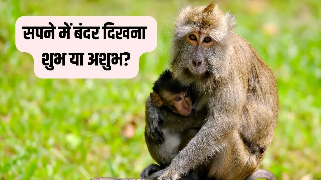monkey dream means