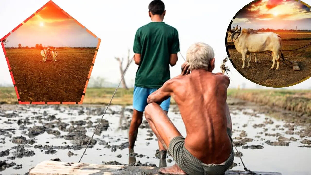 Monsoon Forecast: 2026 के लिए 'सामान्य से कम मॉनसून' का मौसम विभाग ने दिया संकेत