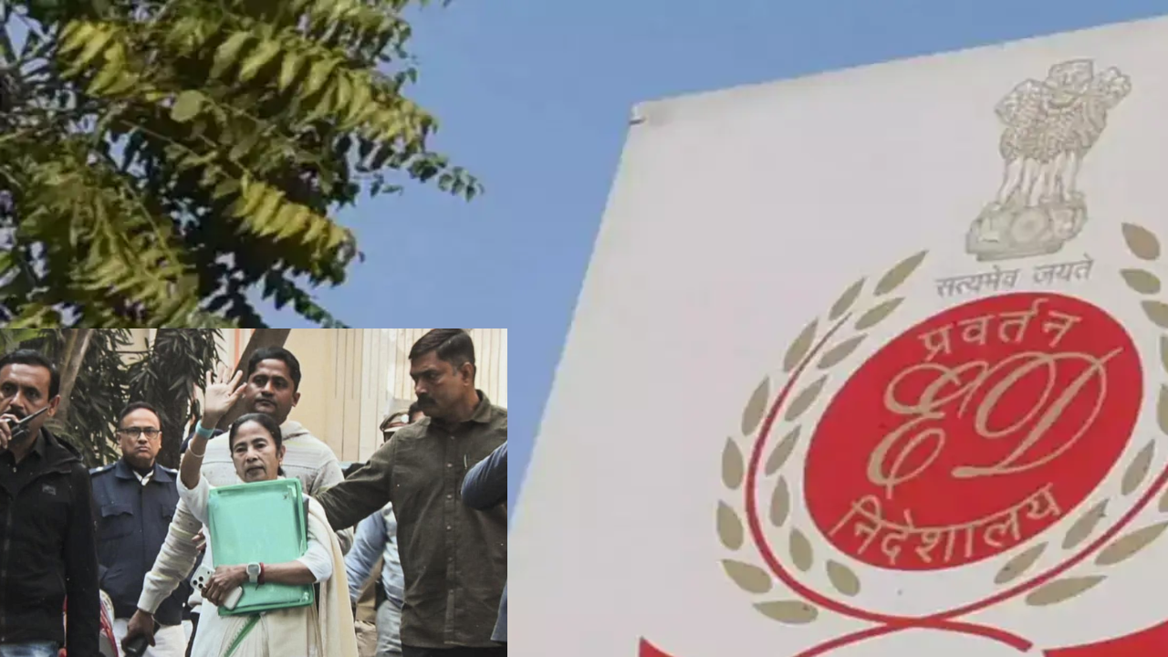 I-PAC निदेशक चंदेल को 10 दिन की ED हिरासत में भेजा गया, गिरफ्तारी पर अभिषेक बनर्जी ने उठाए सवाल