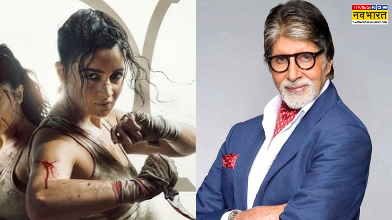 Alpha के टीजर को देखकर गदगद हुए अमिताभ बच्चन, आलिया भट्ट की तारीफ में पढ़े कसीदे