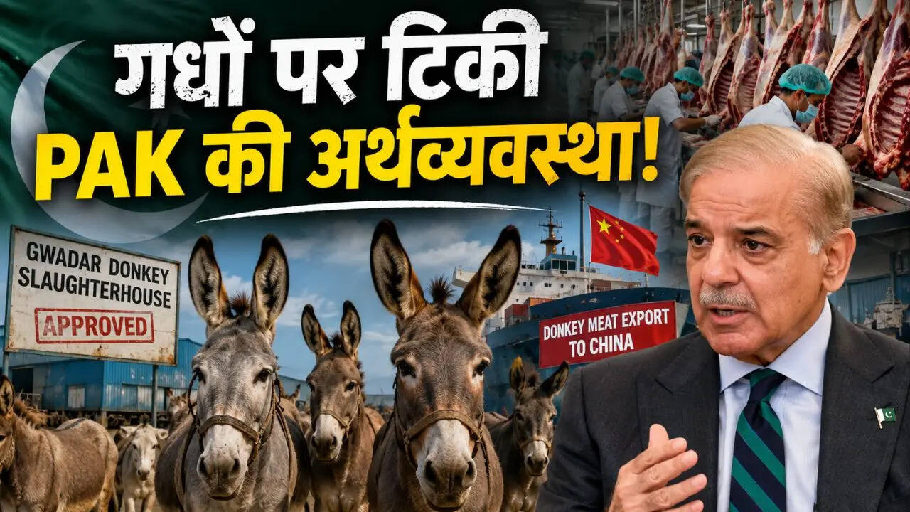 हाय रे पाकिस्तान! गधे का मांस बेचकर पैसे कमाएगा पड़ोसी मुल्क; किस देश को करेगा खाल और मांस का निर्यात?
