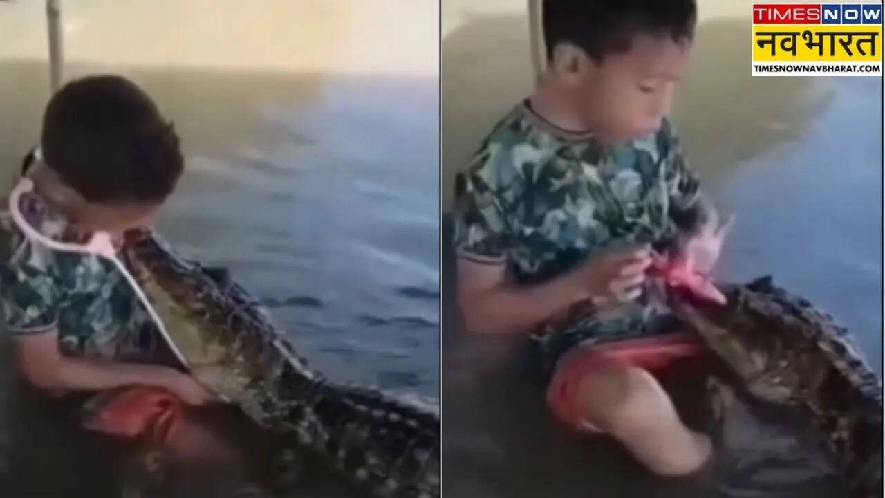 डॉक्टर-डॉक्टर खेलते हुए बच्चे ने मगरमच्छ का किया 'इलाज', Viral Video ने लोगों को किया हैरान