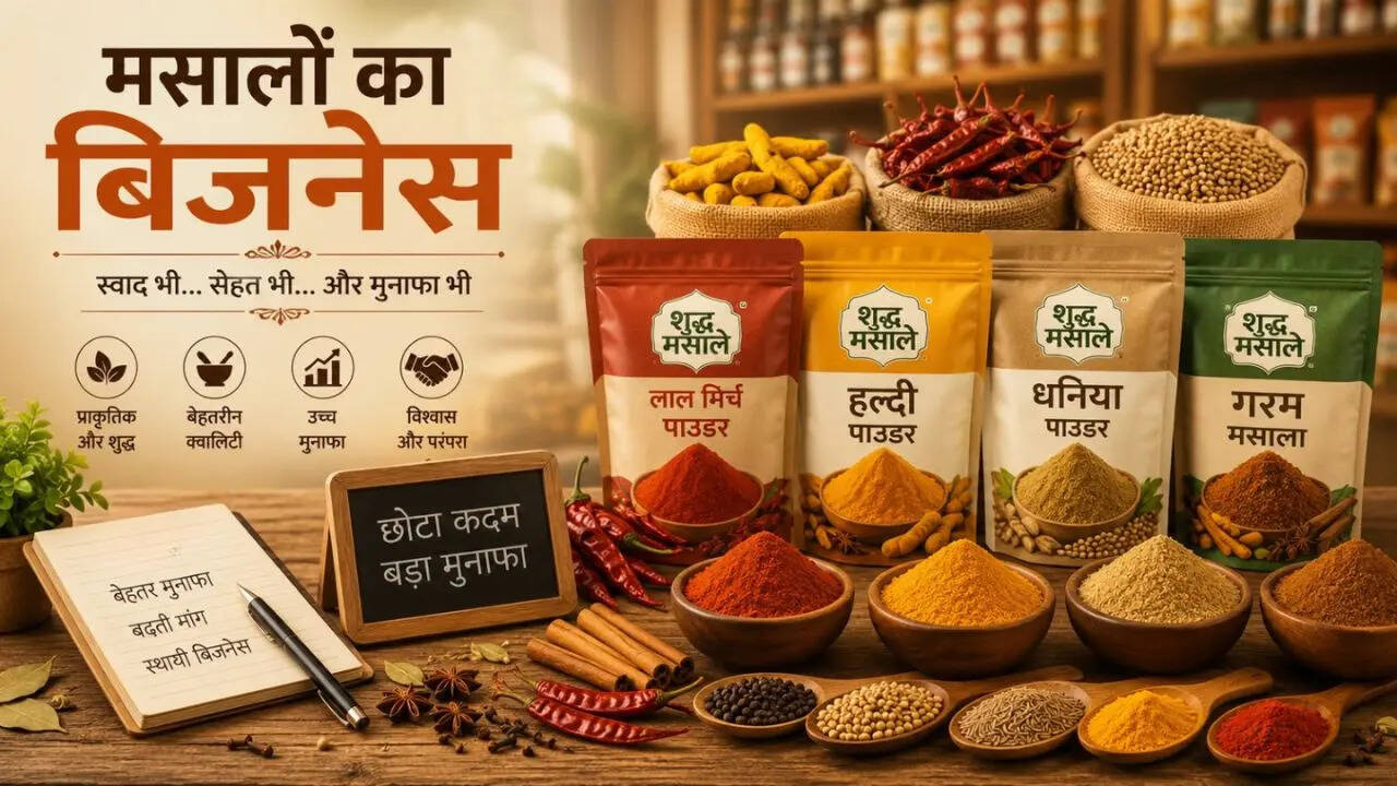 मसालों का बिजनेस करें शुरू, कम निवेश में होगी तगड़ी कमाई; साल के 365 दिन रहती है डिमांड