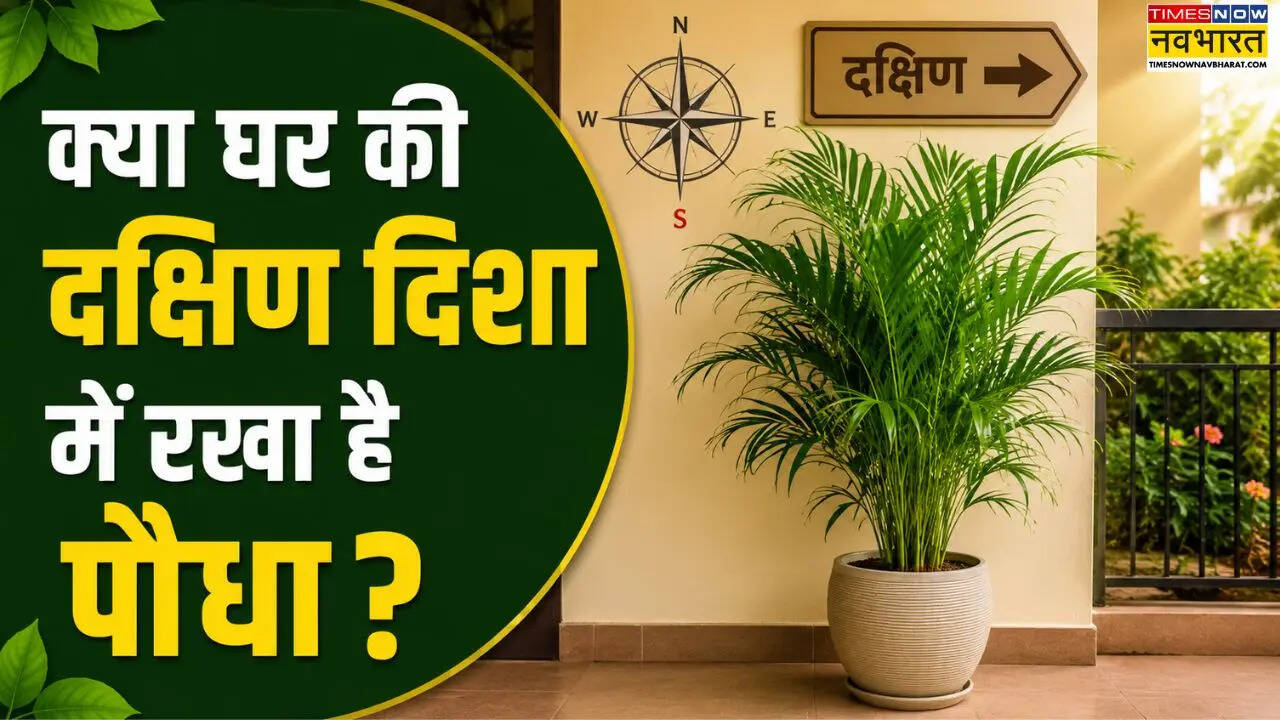 Vastu Guide: घर की दक्षिण दिशा में पौधा रखना चाहिए या नहीं, जानिए वास्तु के अनुसार क्या है सही नियम