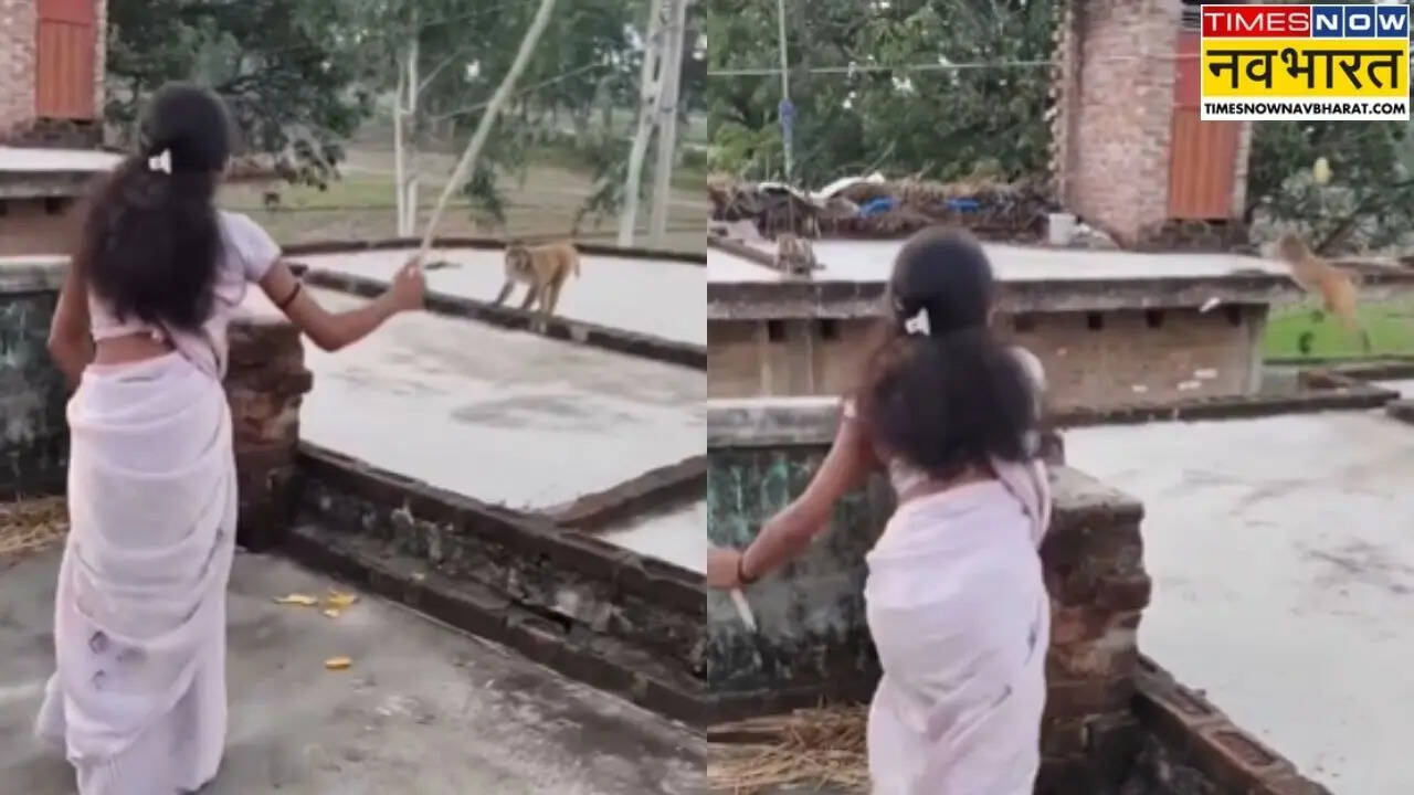 लड़की को डराने आया था बंदर, अगले ही पल खुद की निकल गई हवा! यह Viral Video देख नहीं रुकेगी हंसी