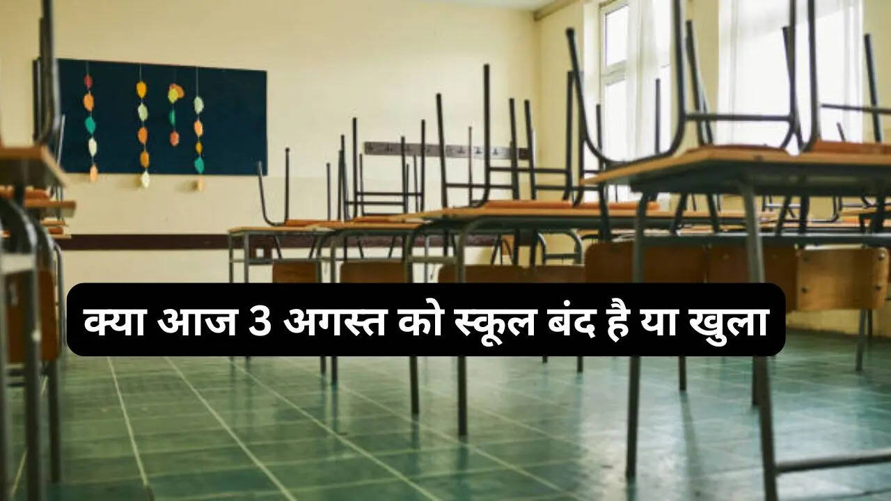 School Holiday Today Or Not: क्या आज 3 अगस्त को स्कूल बंद हैं या खुले हैं, यहां देखें स्टेट वाइज लिस्ट