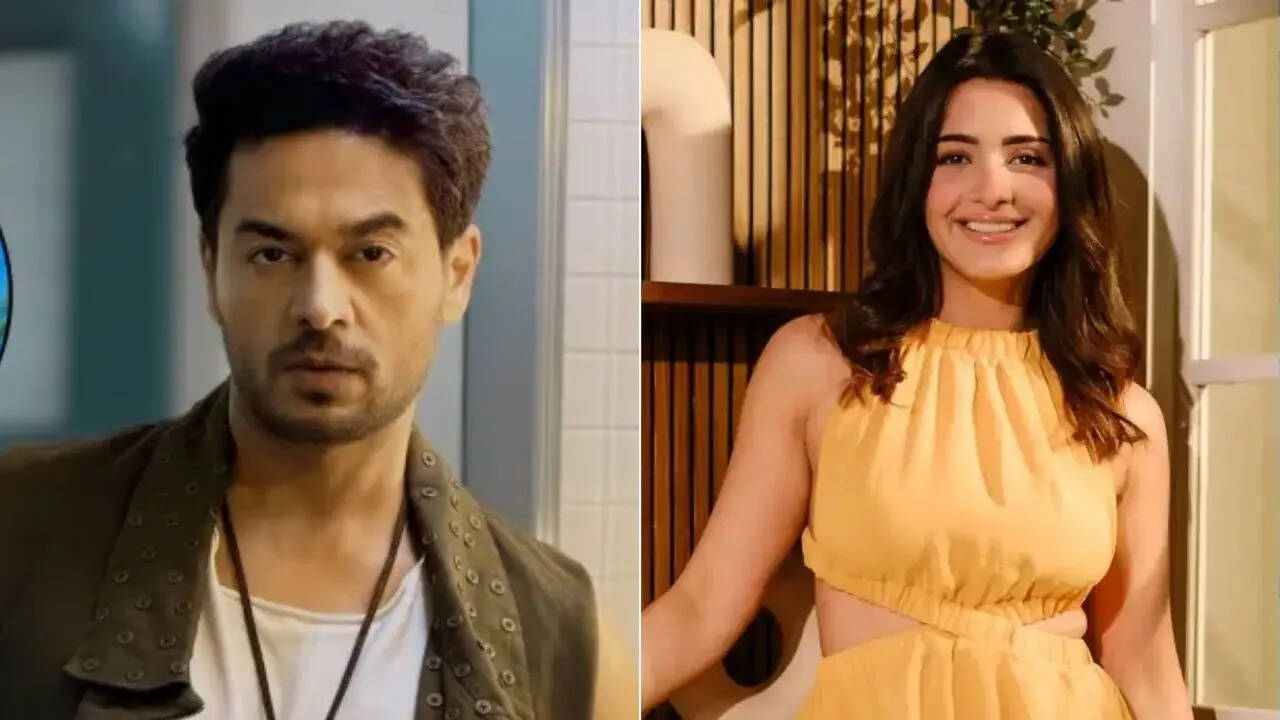 'मैं गुस्से में थी...'- Shagun Sharma ने गौरव खन्ना से मांगी माफी, एक्टर पर लगाया था 'बुली' करने का आरोप