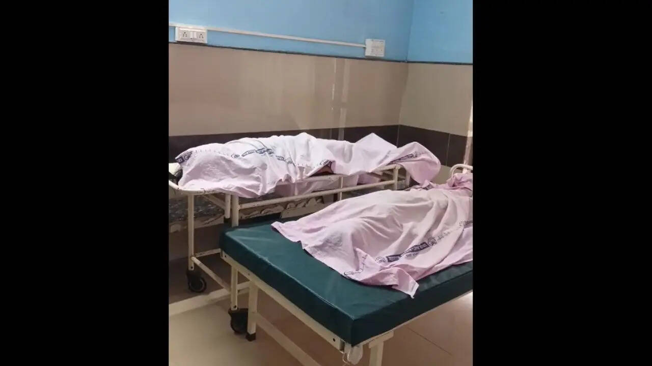 आश्रम स्कूल के हॉस्टल में सो रही 6 छात्राओं को सांप ने डसा, 3 की मौत...महाराष्ट्र के गड़चिरोली में दर्दनाक घटना
