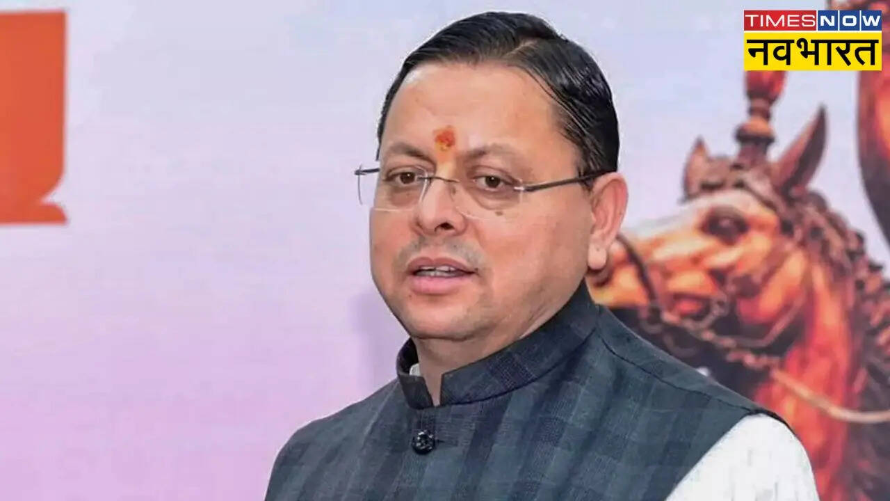 Chamoli News: तमकनाला में आई बाढ़ के बाद वैकल्पिक सड़क बनाने का काम तेज, CM धामी ने दिए अहम निर्देश