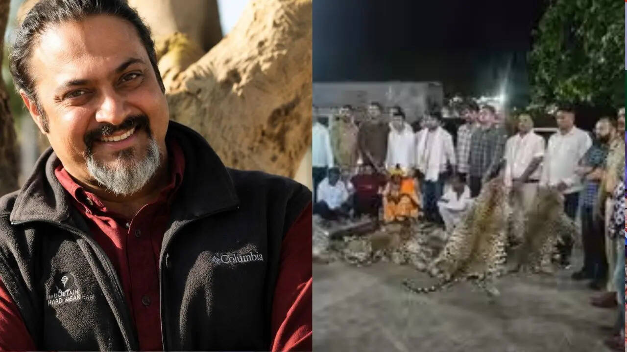 10 तेंदुओं की खाल बरामदगी मामला: दिल्ली के एनजीओ और शिकारियों के बीच गठजोड़ के आरोप; CEO को दिया गया नोटिस