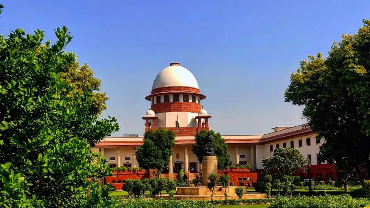 '28 में से 14 CM पर हैं गंभीर आपराधिक मामले', एमिकस क्यूरी ने SC को बताया, इस राज्य के CM पर सबसे ज्यादा केस